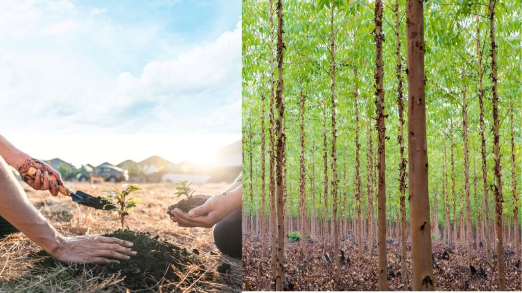 Materiais Ecológicos para Construção Sustentável