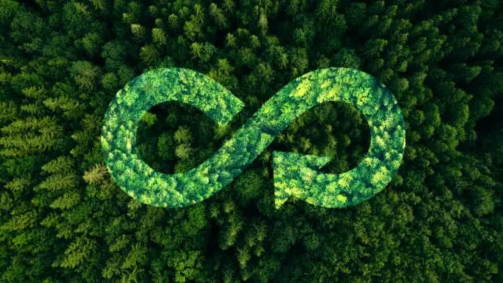 O Brasil e a Economia Circular
