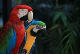 biodiversidade