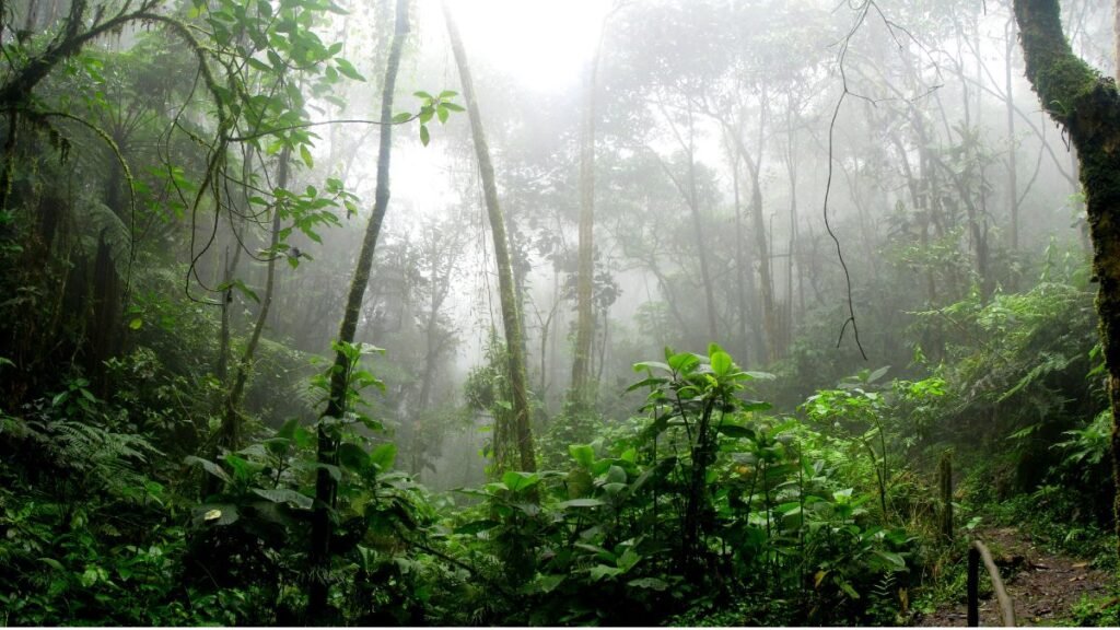 Biodiversidade: Dados e Estatísticas Globais