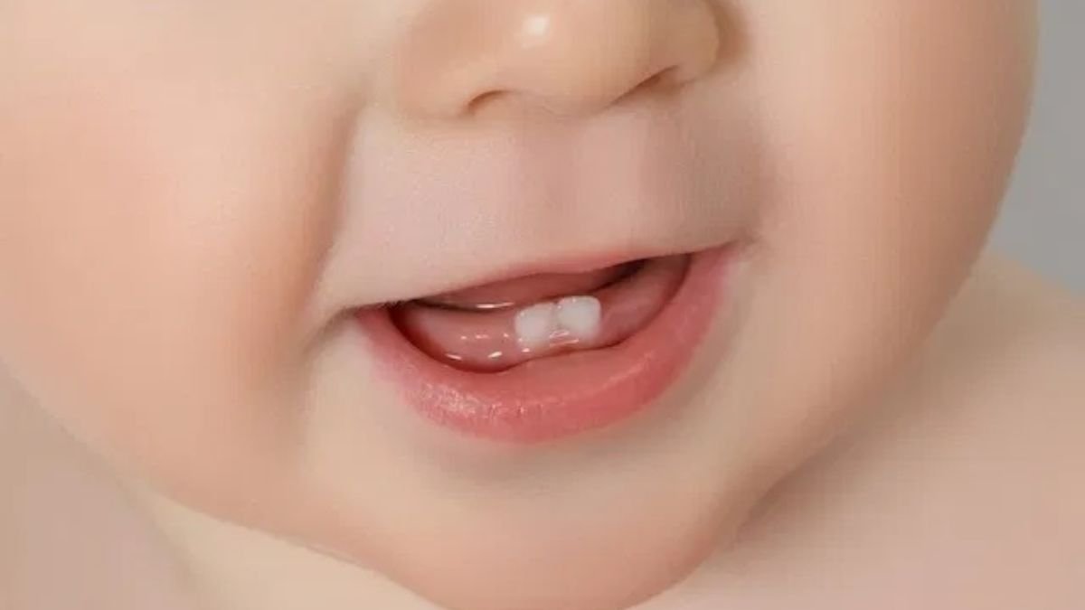 Primeira dentição do Bebê