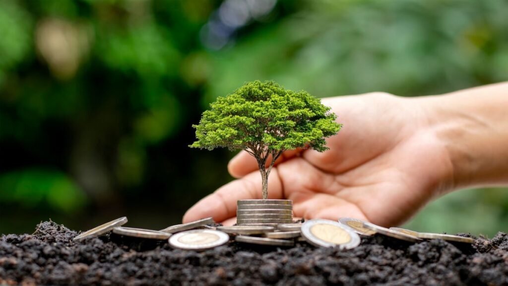 incentivos governamentais