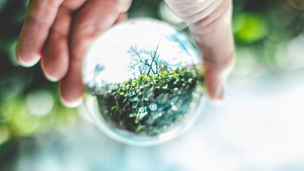 Economia circular e sustentabilidade