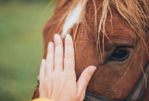 terapia com cavalos